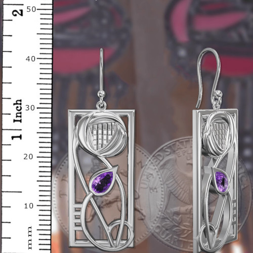 337LAM-Ruler-with-coins-for-size-comparison-500